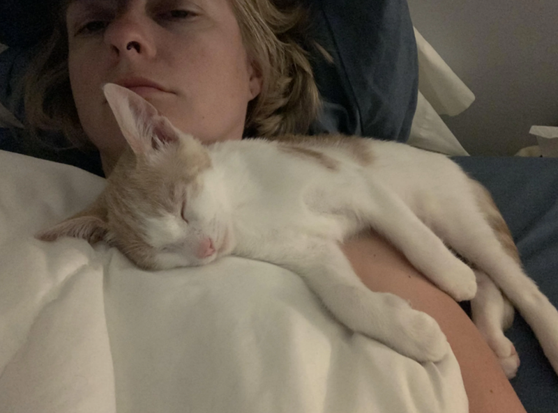 Cheezburger Image 10616441600