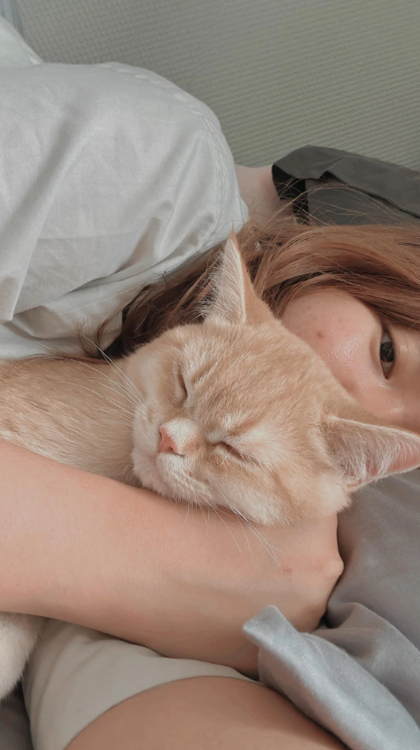 Cheezburger Image 10616442112