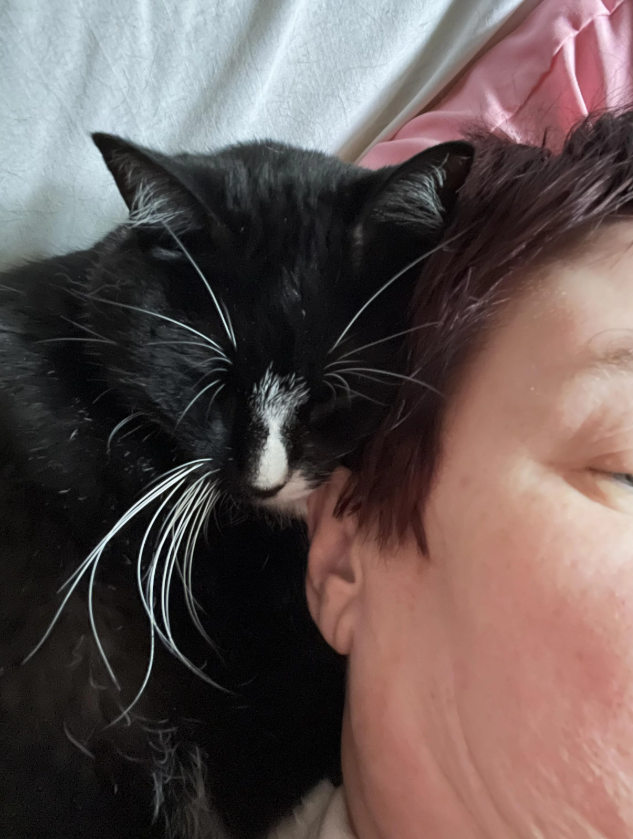 Cheezburger Image 10616442368