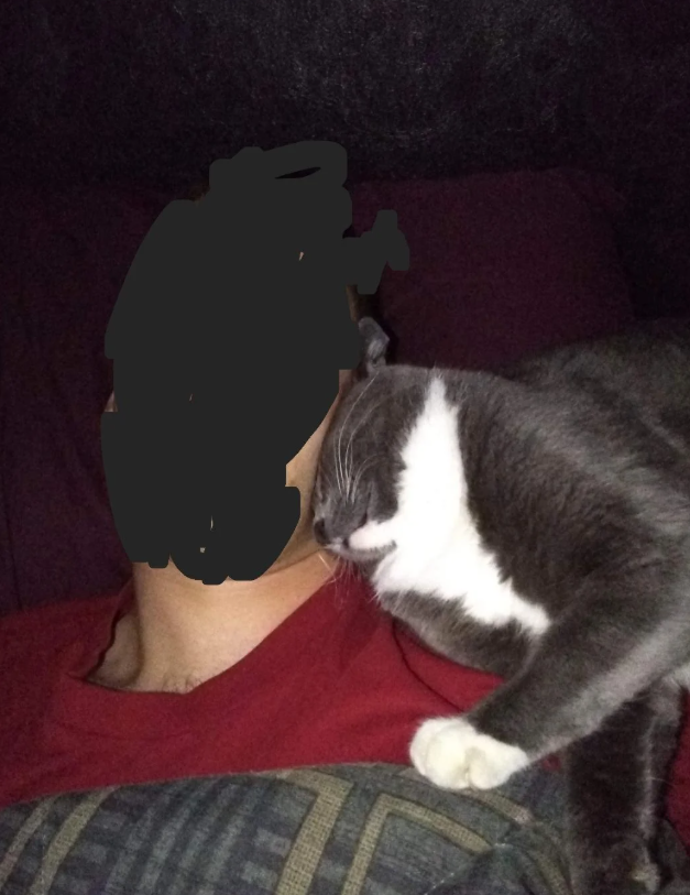 Cheezburger Image 10616442880