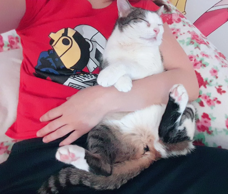 Cheezburger Image 10616443136