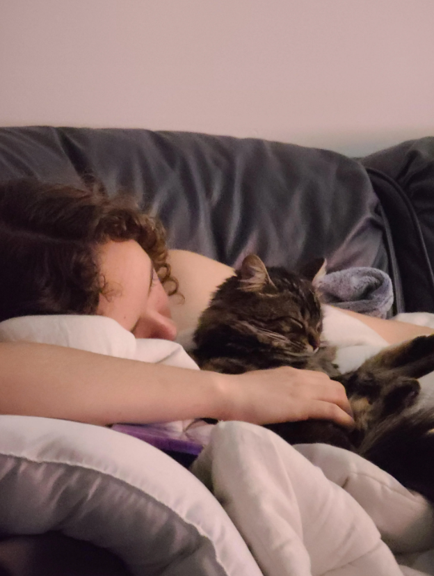 Cheezburger Image 10616443392