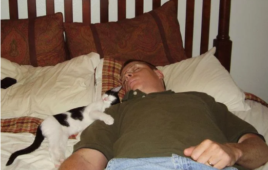 Cheezburger Image 10616443648