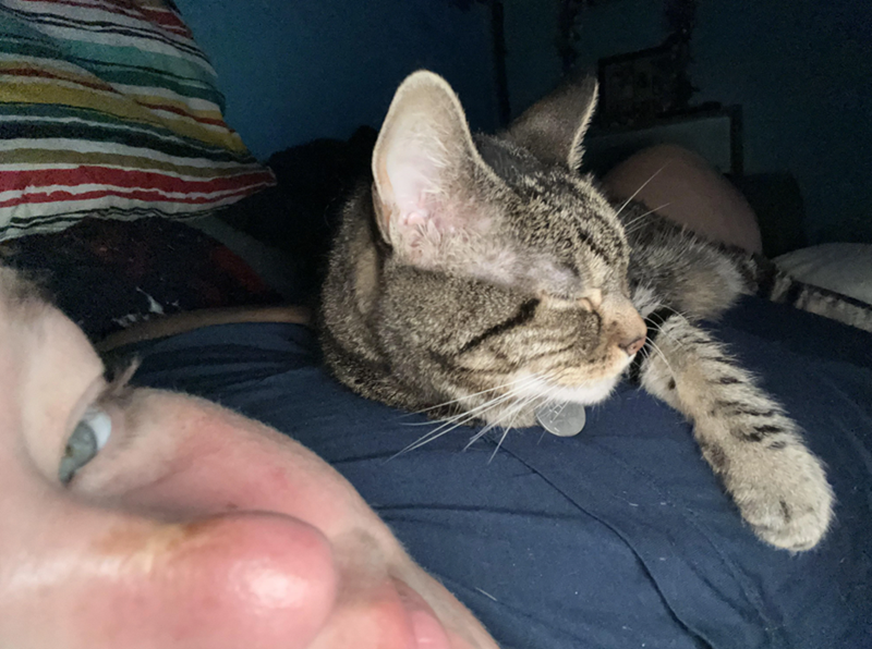 Cheezburger Image 10616443904