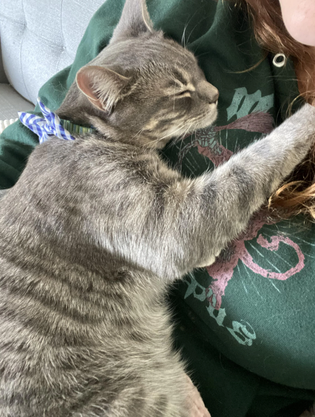 Cheezburger Image 10616444672