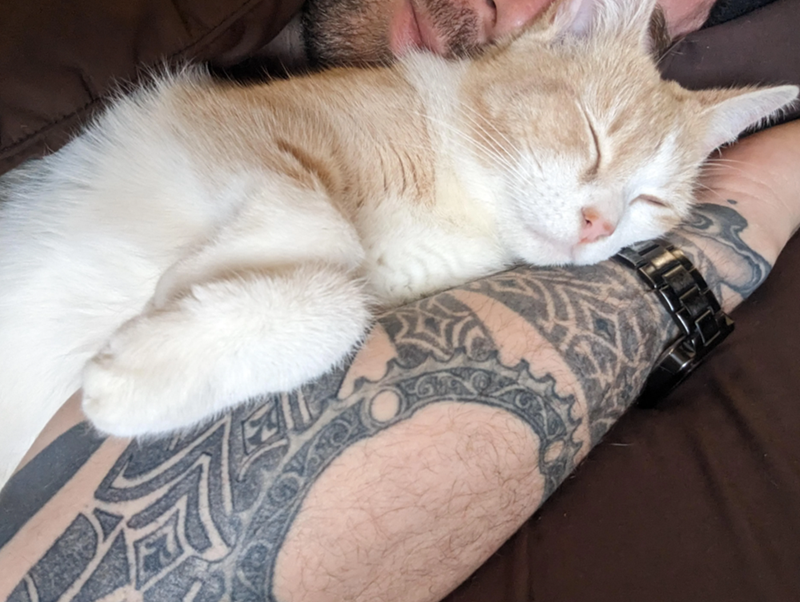 Cheezburger Image 10616444928