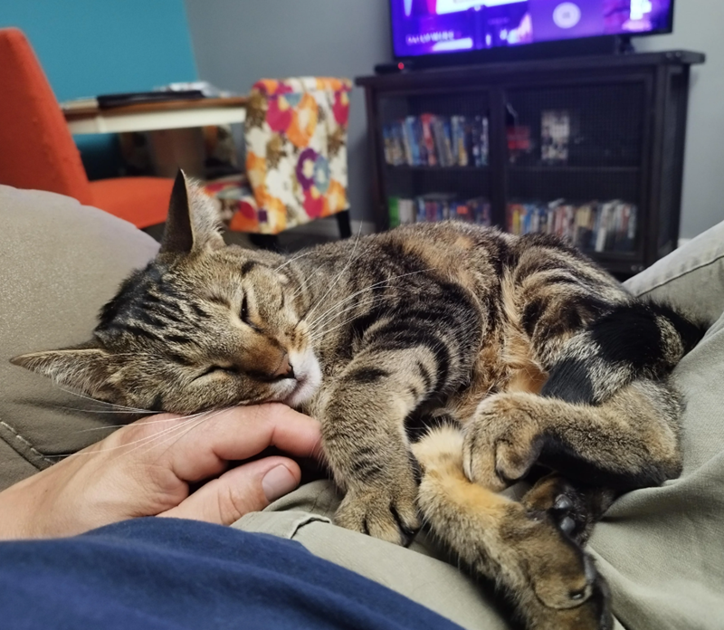 Cheezburger Image 10616445184