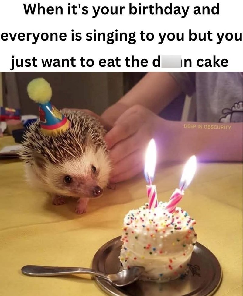 When it's your birthday and everyone is singing to you but you just want to eat the d in cake DEEP IN OBSCURITY