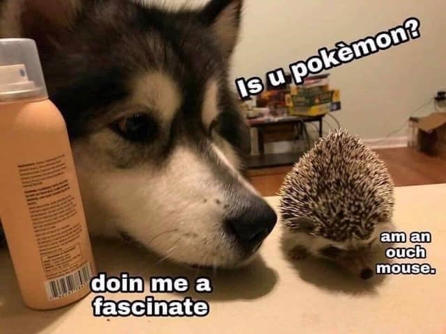 doin me a fascinate Is u pokemon? am an ouch mouse.
