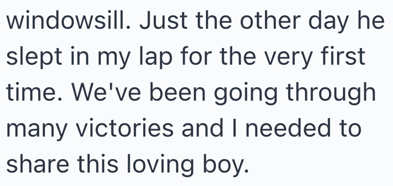 windowsill. Just the other day he slept in my lap for the very first time. We've been going through many victories and I needed to share this loving boy.