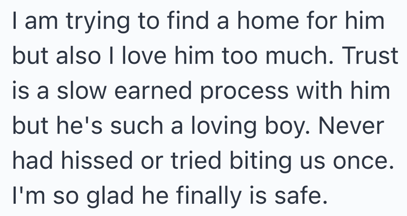 I am trying to find a home for him but also I love him too much. Trust is a slow earned process with him but he's such a loving boy. Never had hissed or tried biting us once. I'm so glad he finally is safe.