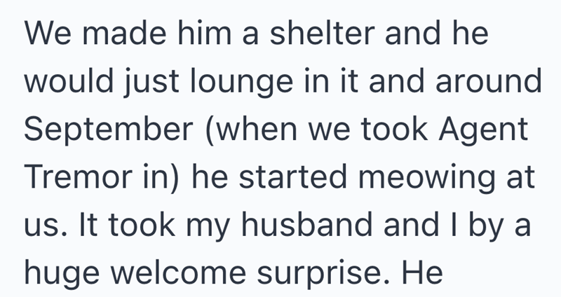 We made him a shelter and he would just lounge in it and around September (when we took Agent Tremor in) he started meowing at us. It took my husband and I by a huge welcome surprise. He
