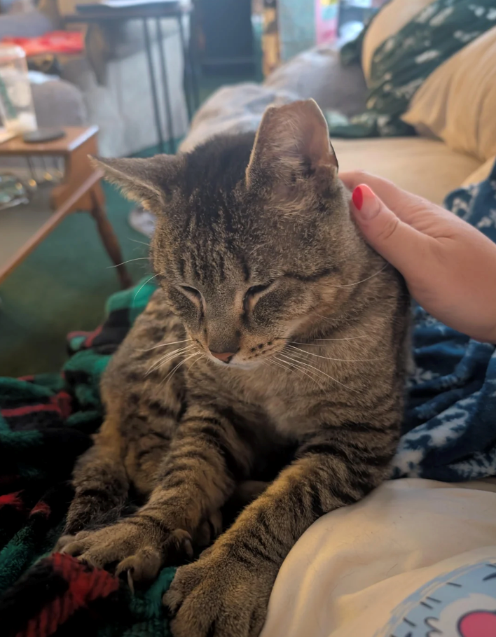 Cheezburger Image 10616450560