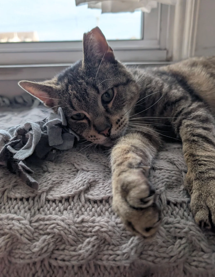 Cheezburger Image 10616450816