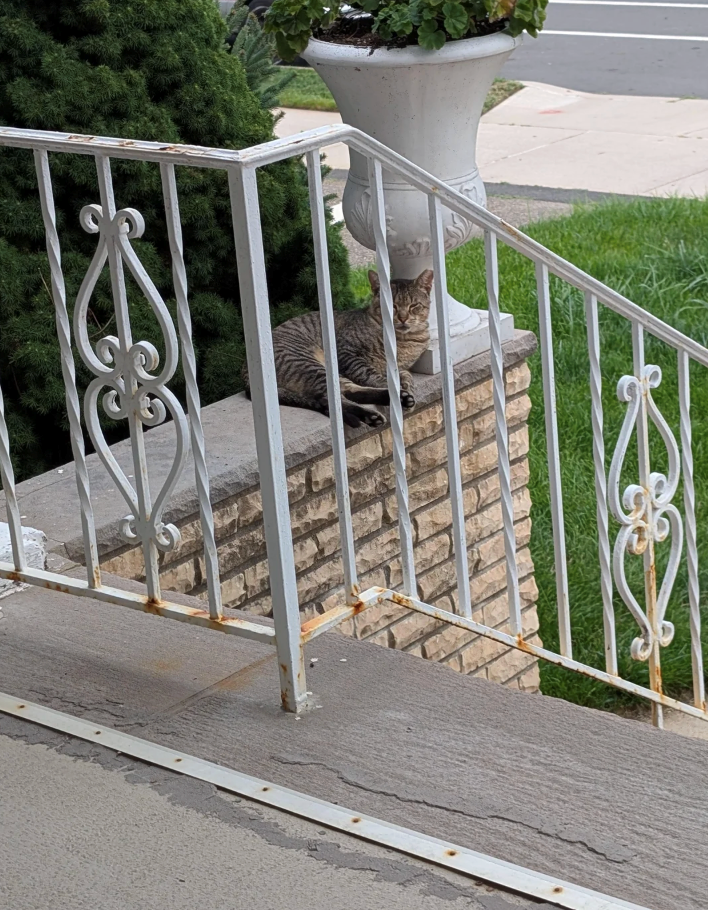 Cheezburger Image 10616451840