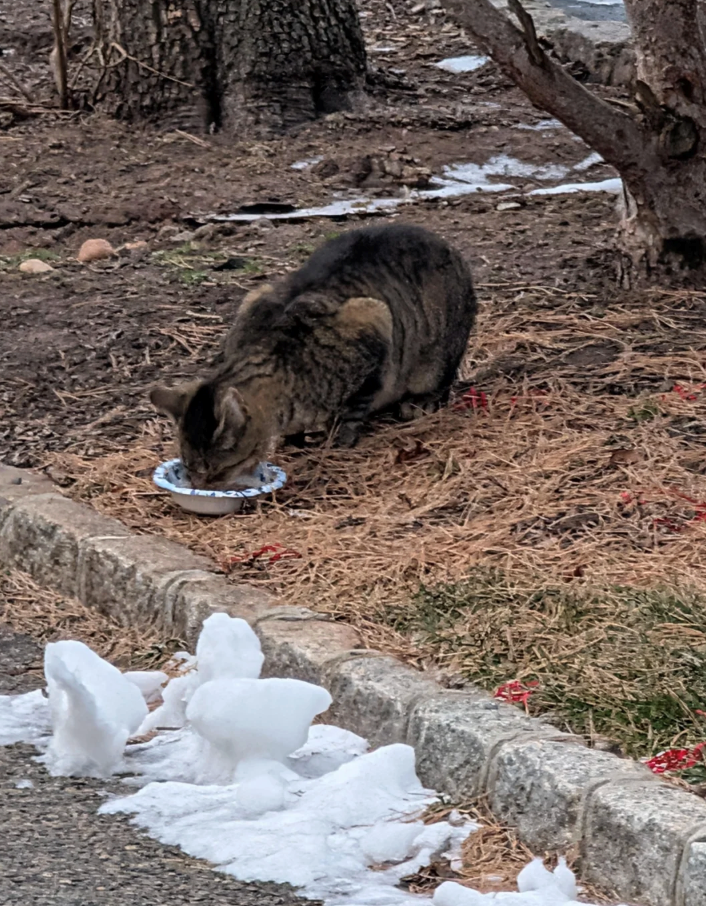 Cheezburger Image 10616452352