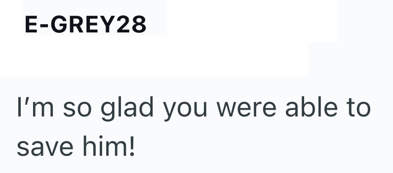 E-GREY28 I'm so glad you were able to save him!