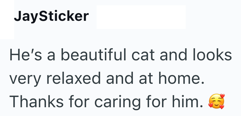 JaySticker He's a beautiful cat and looks very relaxed and at home. Thanks for caring for him.