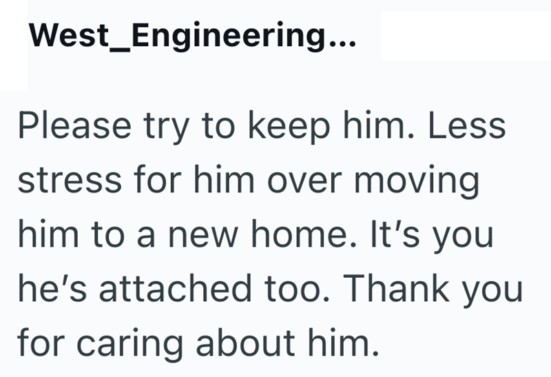 West Engineering... Please try to keep him. Less stress for him over moving. him to a new home. It's you he's attached too. Thank you for caring about him.