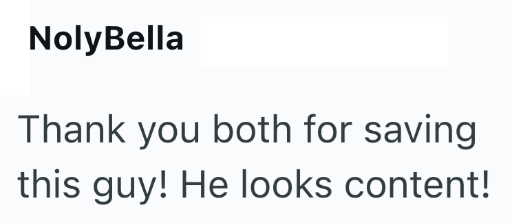 NolyBella Thank you both for saving this guy! He looks content!