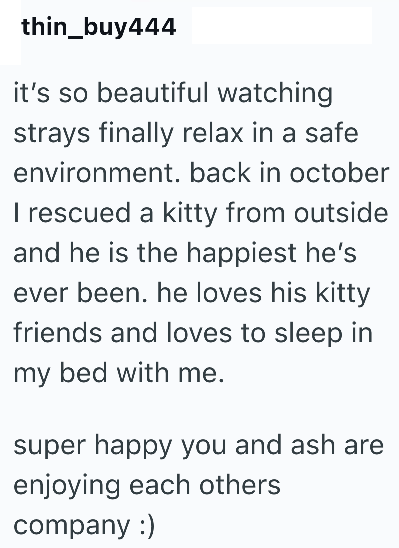 thin_buy444 it's so beautiful watching strays finally relax in a safe environment. back in october I rescued a kitty from outside and he is the happiest he's ever been. he loves his kitty friends and loves to sleep in my bed with me. super happy you and ash are enjoying each others. company :)