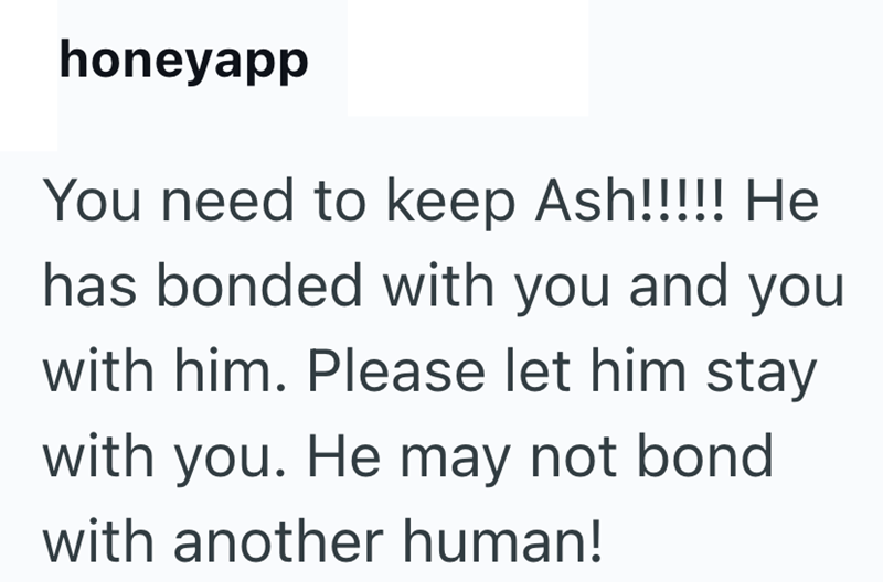 honeyapp You need to keep Ash!!!!! He has bonded with you and you with him. Please let him stay with you. He may not bond with another human!