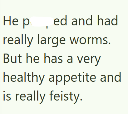 He p ed and had really large worms. But he has a very healthy appetite and is really feisty.