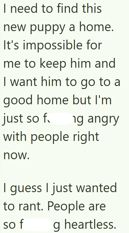 I need to find this new puppy a home. It's impossible for me to keep him and I want him to go to a good home but I'm just so f ng angry with people right now. I guess I just wanted to rant. People are so f g heartless.