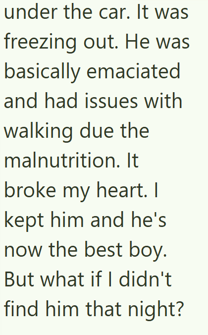 under the car. It was freezing out. He was basically emaciated and had issues with walking due the malnutrition. It broke my heart. I kept him and he's now the best boy. But what if I didn't find him that night?