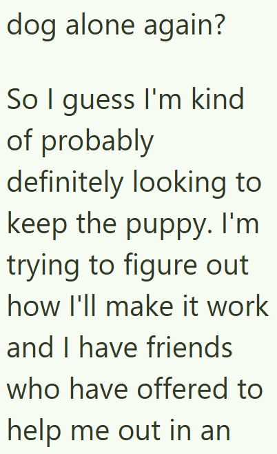 dog alone again? So I guess I'm kind of probably definitely looking to keep the puppy. I'm trying to figure out how I'll make it work and I have friends who have offered to help me out in an