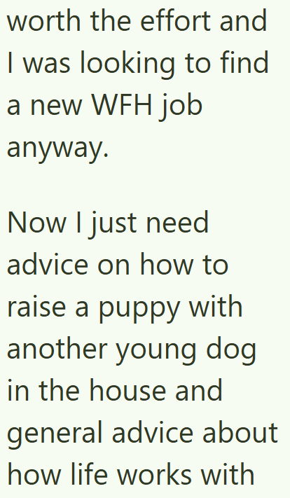 worth the effort and I was looking to find a new WFH job anyway. Now I just need advice on how to raise a puppy with another young dog in the house and general advice about how life works with