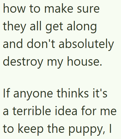 how to make sure they all get along and don't absolutely destroy my house. If anyone thinks it's a terrible idea for me to keep the puppy, I