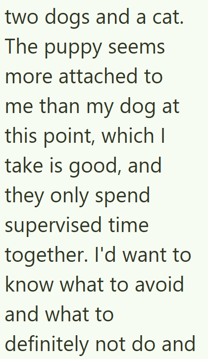 two dogs and a cat. The puppy seems more attached to me than my dog at this point, which I take is good, and they only spend supervised time together. I'd want to know what to avoid and what to definitely not do and
