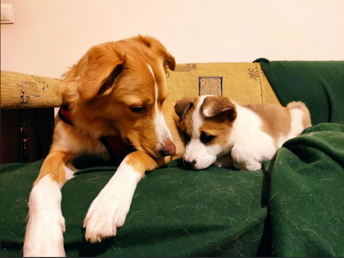 Cheezburger Image 10616459776