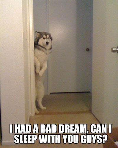 I HAD A BAD DREAM, CAN I SLEEP WITH YOU GUYS?