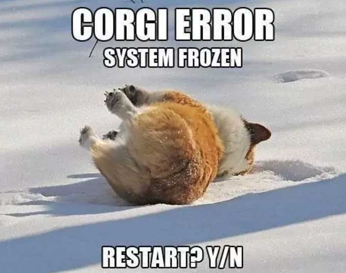CORGI ERROR SYSTEM FROZEN RESTART? Y/N