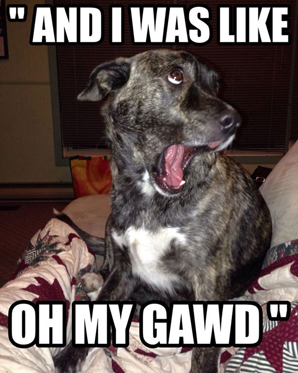 "AND I WAS LIKE OH MY GAWD W