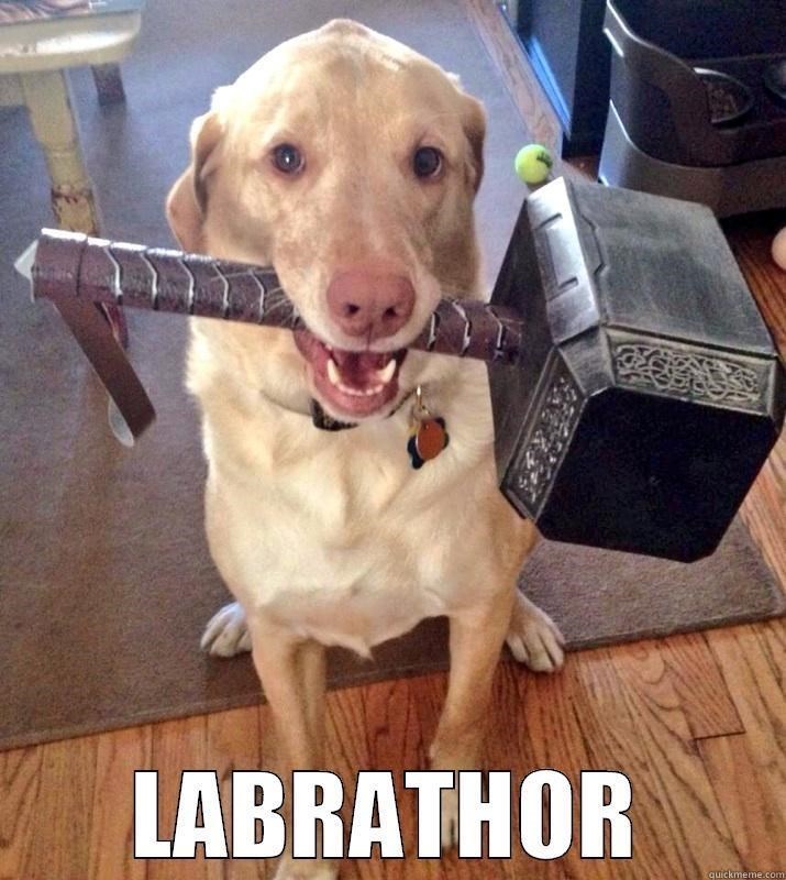 LABRATHOR quickmeme.com