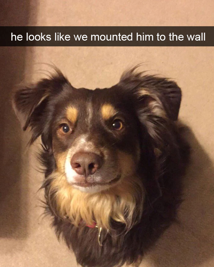 9 he looks like we mounted him to the wall