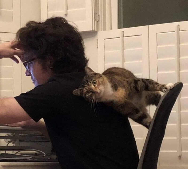 Cheezburger Image 10616467456