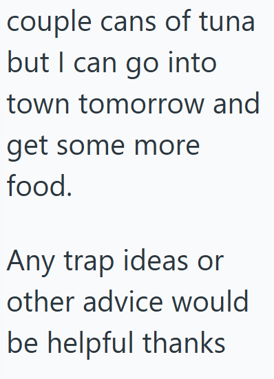 couple cans of tuna but I can go into town tomorrow and get some more food. Any trap ideas or other advice would be helpful thanks