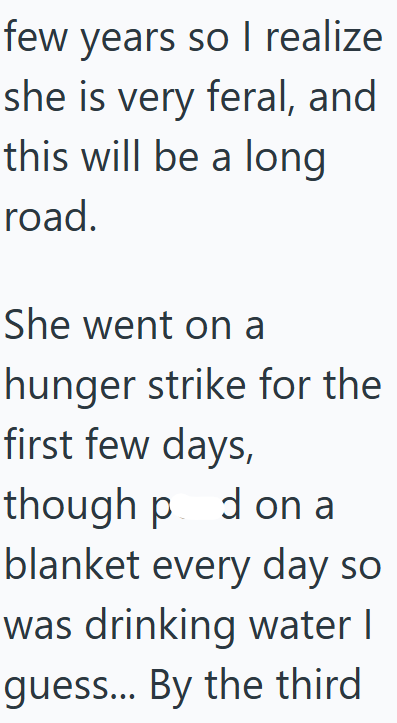 few years so I realize she is very feral, and this will be a long road. She went on a hunger strike for the first few days, though pd on a blanket every day so was drinking water I guess... By the third