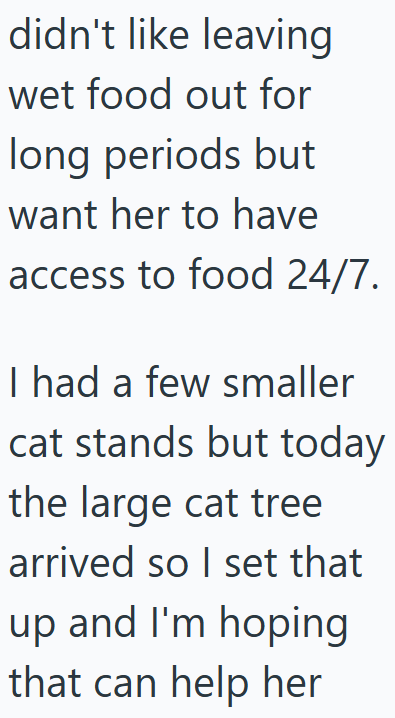 didn't like leaving wet food out for long periods but want her to have access to food 24/7. I had a few smaller cat stands but today the large cat tree arrived so I set that up and I'm hoping that can help her