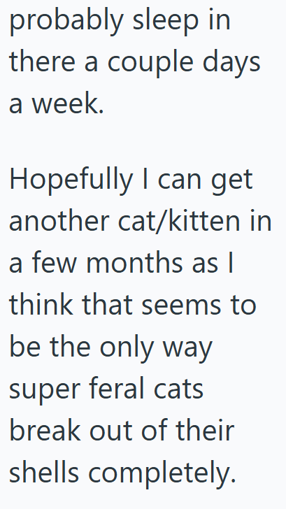 probably sleep in there a couple days a week. Hopefully I can get another cat/kitten in a few months as I think that seems to be the only way super feral cats break out of their shells completely.