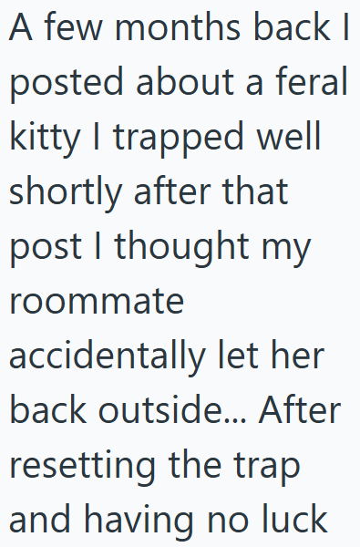 A few months back I posted about a feral kitty I trapped well shortly after that post I thought my roommate accidentally let her back outside... After resetting the trap and having no luck