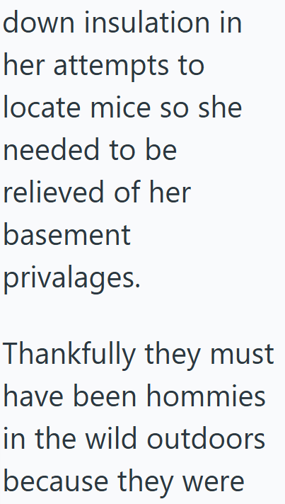 down insulation in her attempts to locate mice so she needed to be relieved of her basement privalages. Thankfully they must have been hommies in the wild outdoors because they were