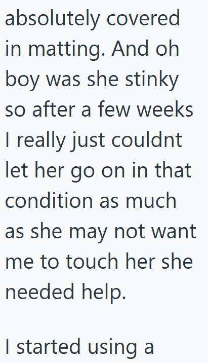 absolutely covered in matting. And oh boy was she stinky so after a few weeks I really just couldnt let her go on in that condition as much as she may not want me to touch her she needed help. I started using a