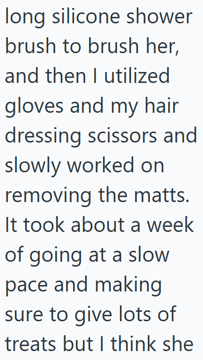 long silicone shower brush to brush her, and then I utilized gloves and my hair dressing scissors and slowly worked on removing the matts. It took about a week of going at a slow pace and making sure to give lots of treats but I think she