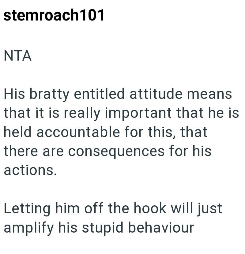 stemroach101 NTA His bratty entitled attitude means that it is really important that he is held accountable for this, that there are consequences for his actions. Letting him off the hook will just amplify his stupid behaviour