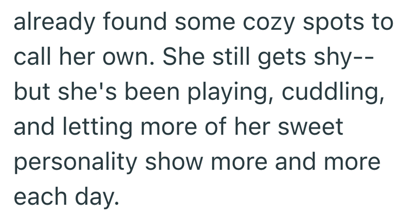 already found some cozy spots to call her own. She still gets shy-- but she's been playing, cuddling, and letting more of her sweet personality show more and more each day.